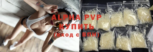 прущие грибы Беломорск