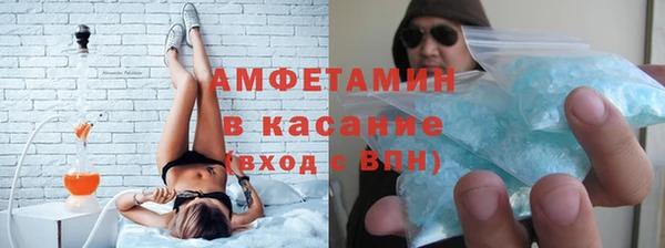 прущие грибы Беломорск