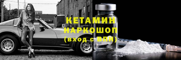 прущие грибы Беломорск