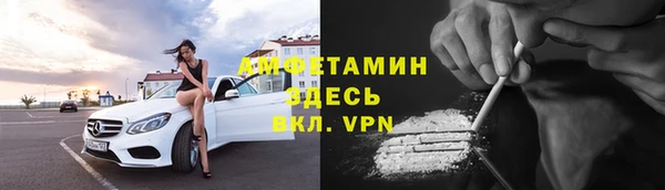 прущие грибы Беломорск