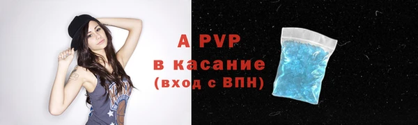 прущие грибы Беломорск