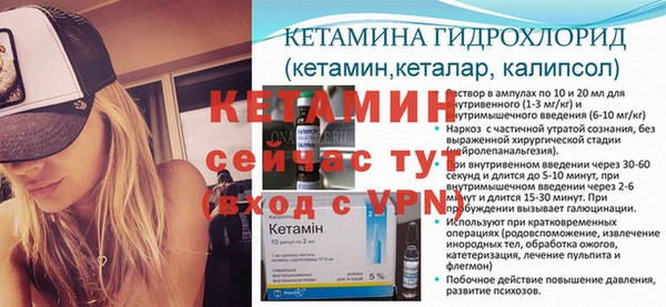 прущие грибы Беломорск