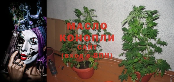 прущие грибы Беломорск
