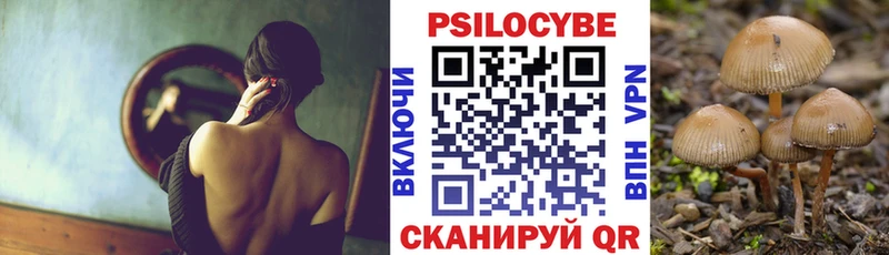 что такое   дарк нет официальный сайт  Псилоцибиновые грибы Psilocybine cubensis  Краснозаводск  гидра ТОР 